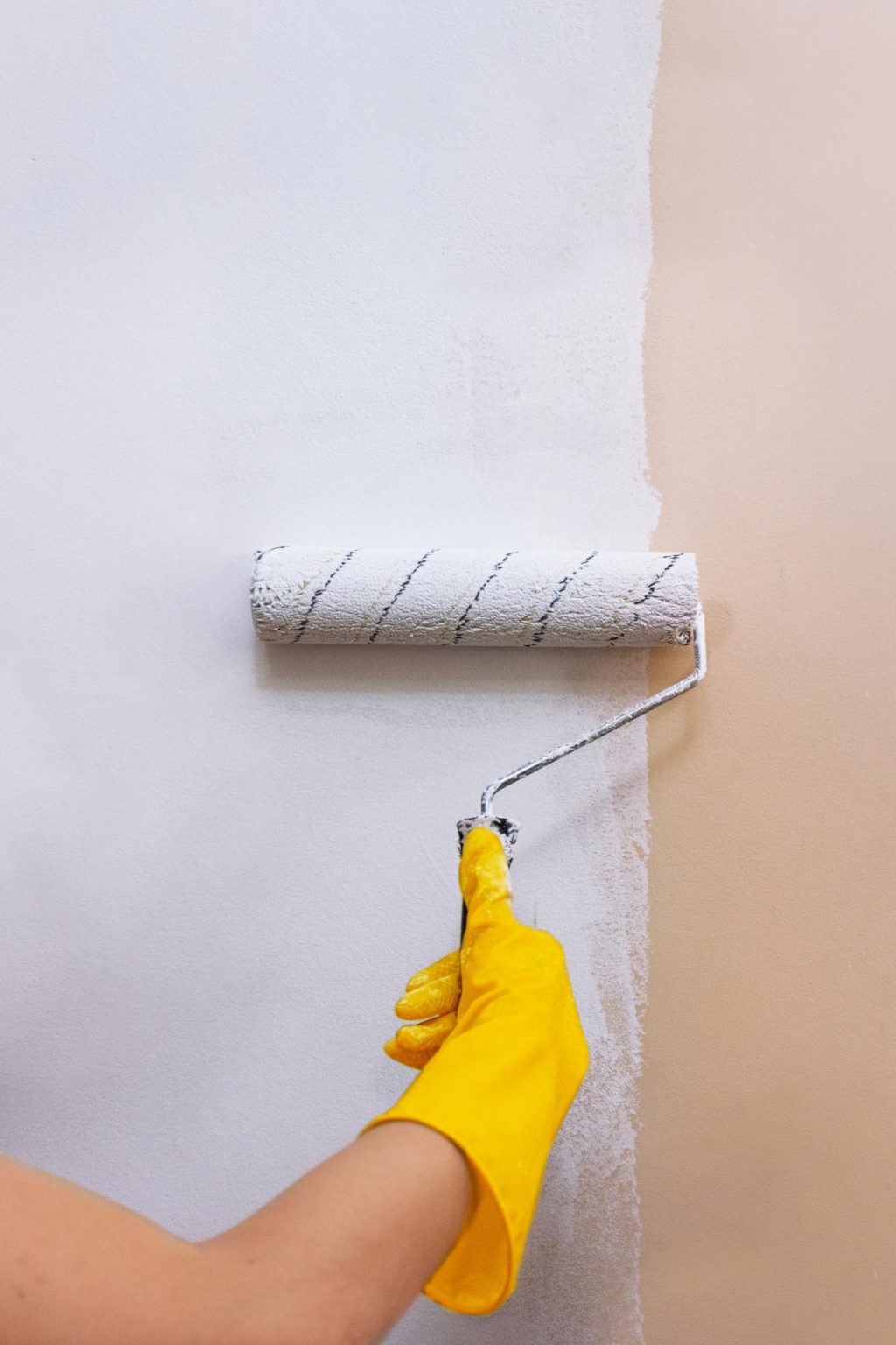 Painting & Interior Upgrades